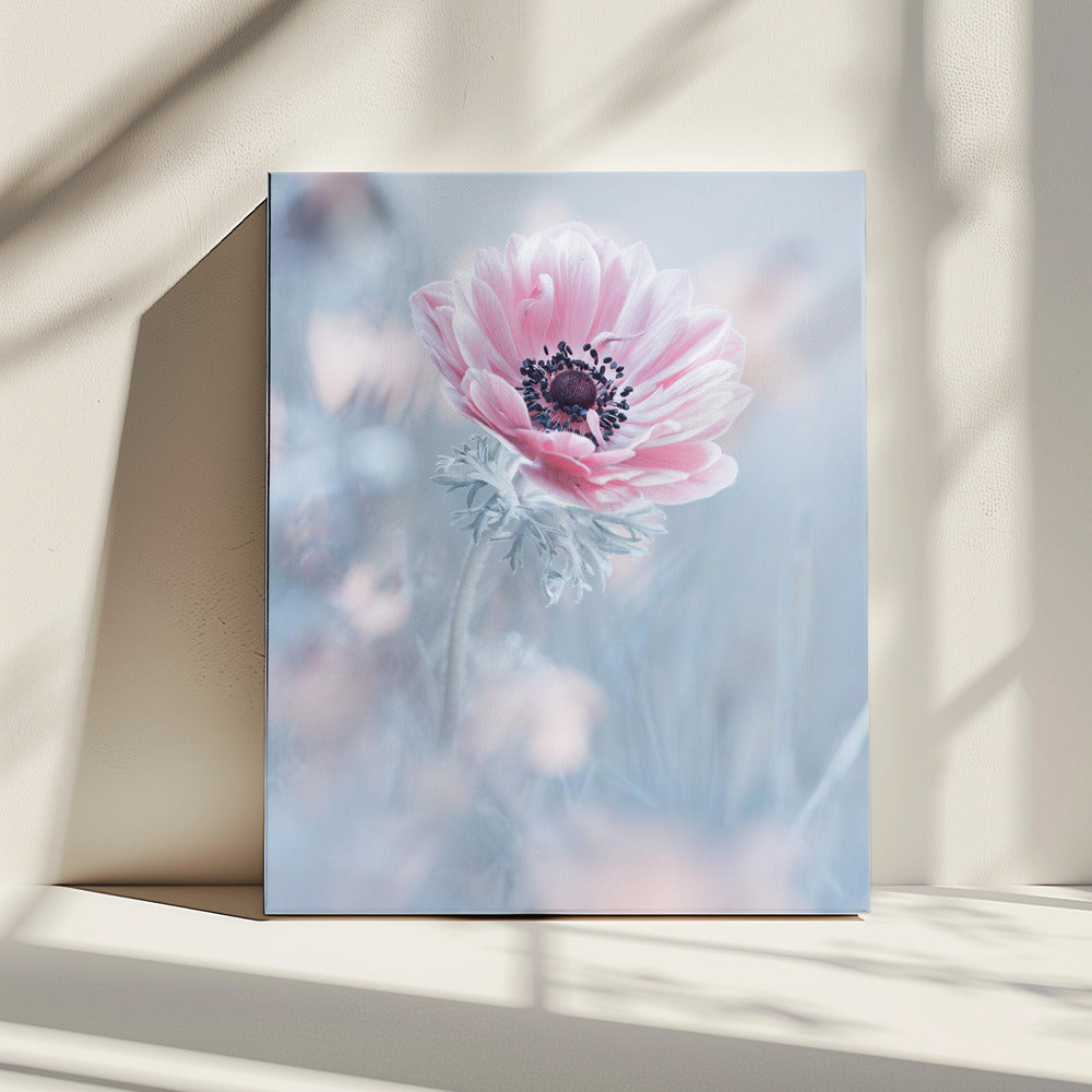 De koningin van de sneeuw | Canvas