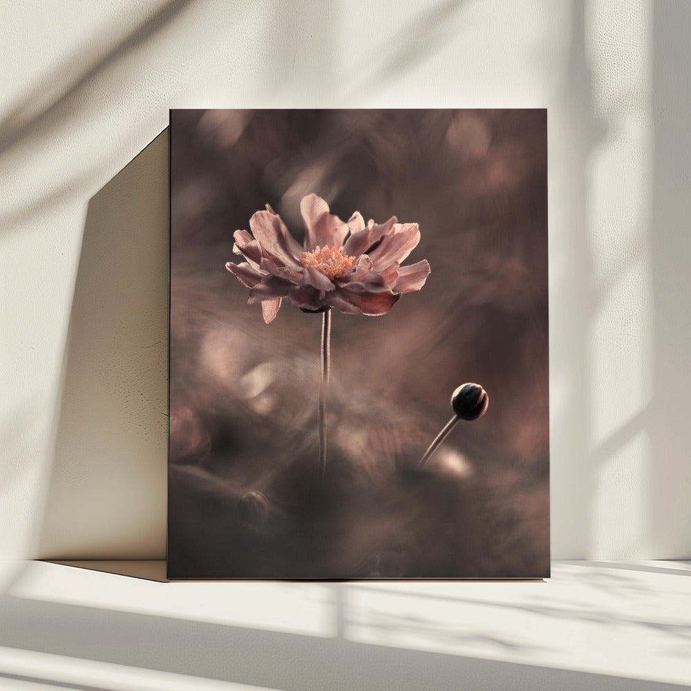 Een heden en een toekomstige revolutie. Un passé présent | Canvas