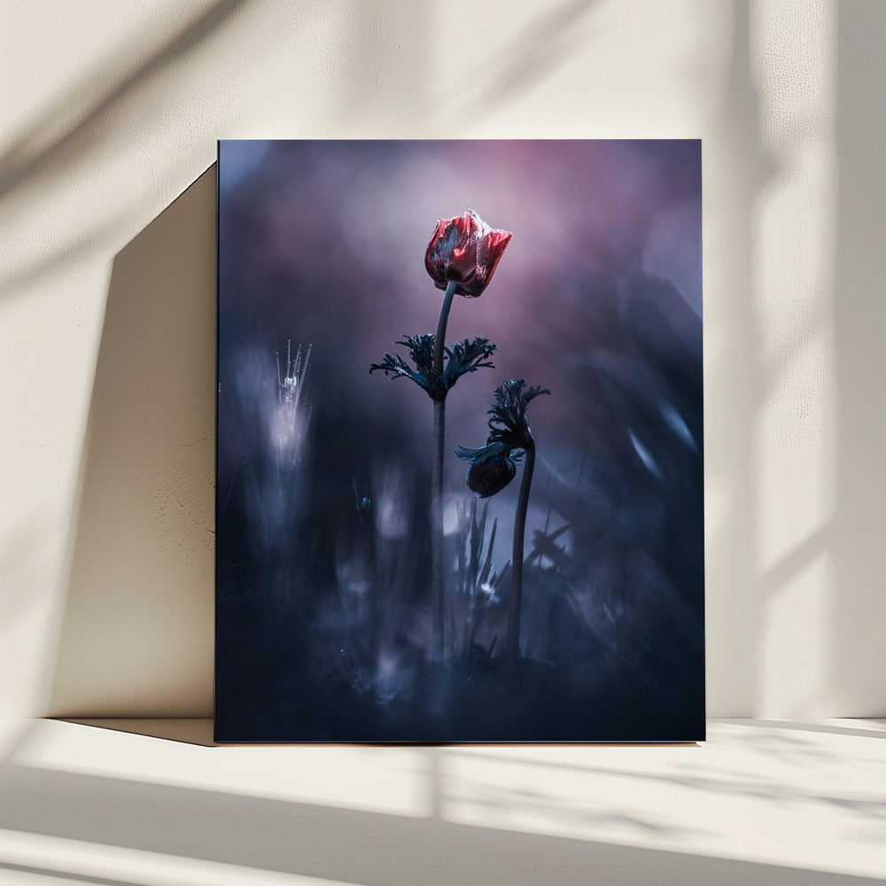 Vroeg meisje | Canvas