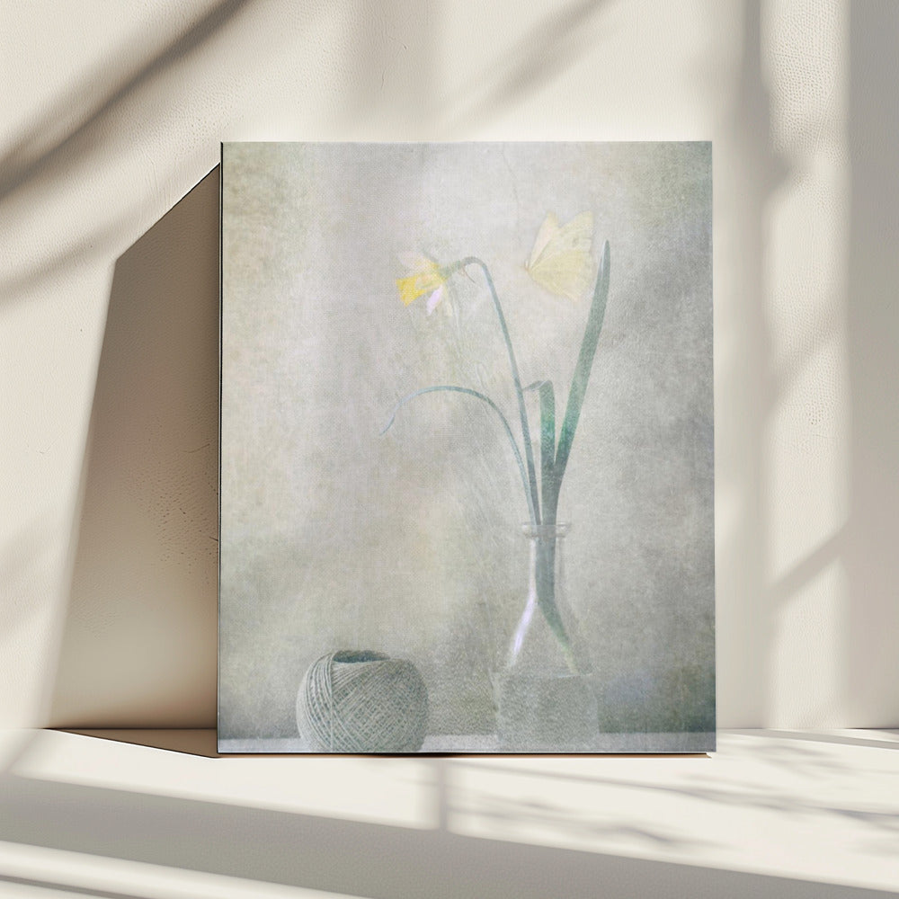 Lente in huis | Canvas