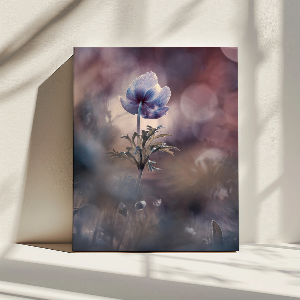 Een betere toekomst | Canvas