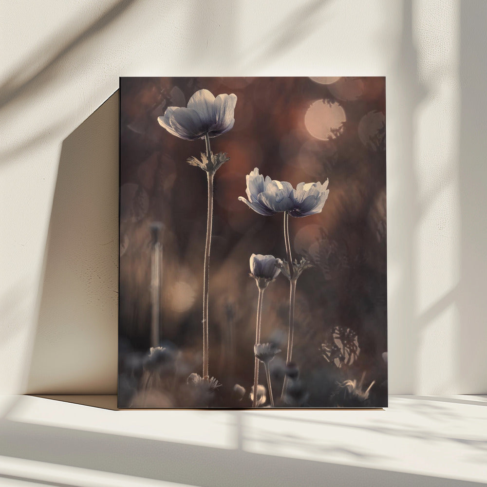 Ensemble | Canvas