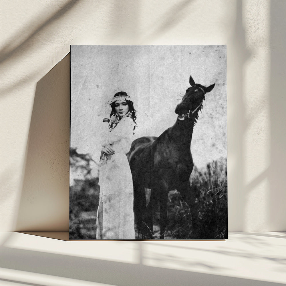 napelu | Canvas