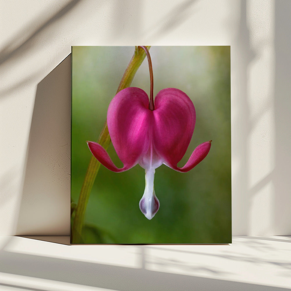 Bloedend Hart | Canvas