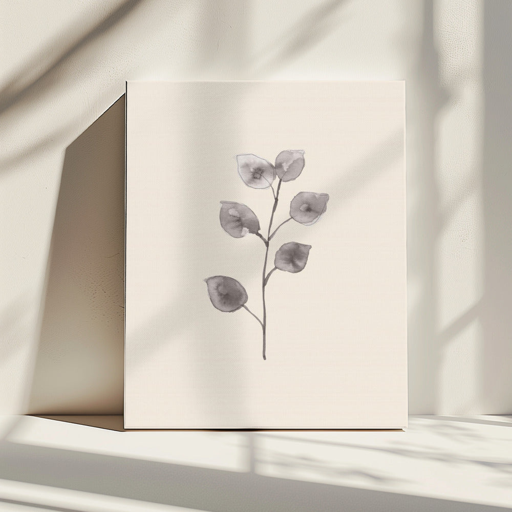 Eucalyptustakje | Canvas