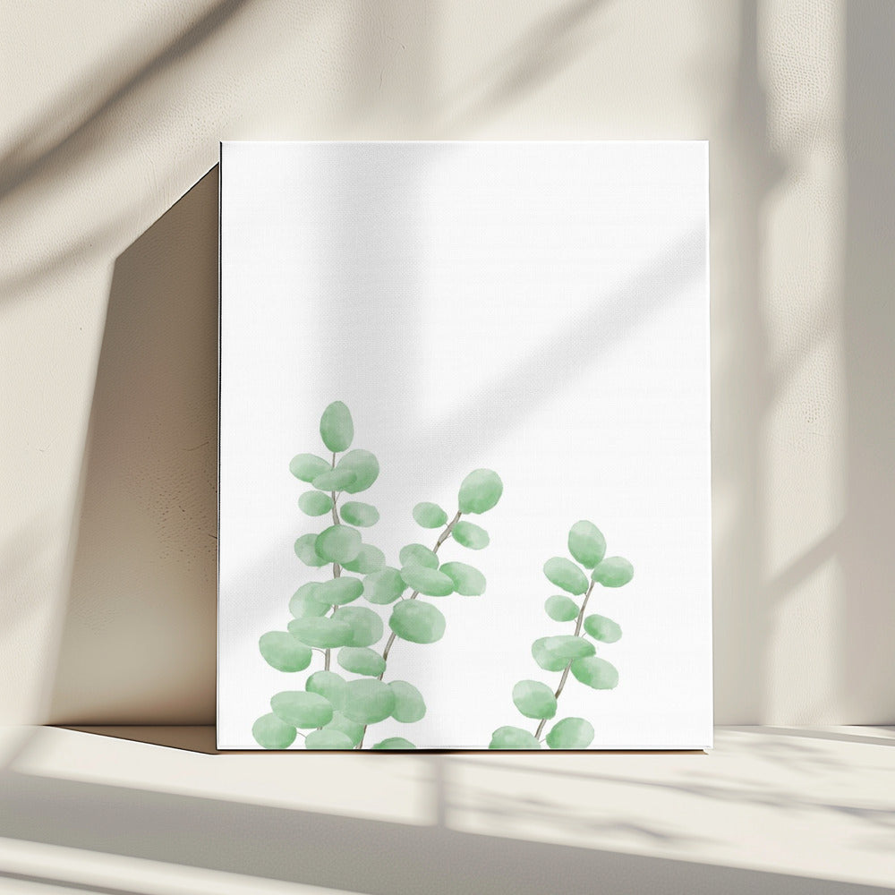 Takken | Canvas