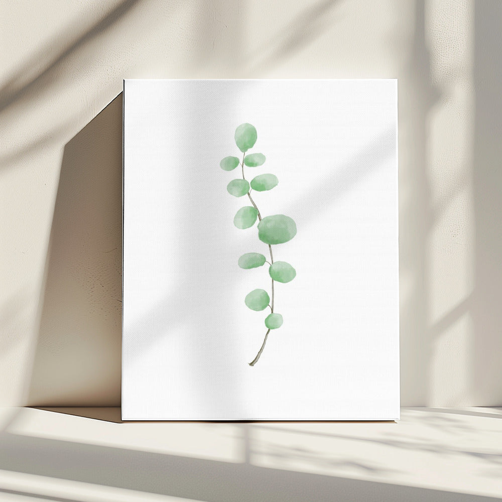 Tak | Canvas