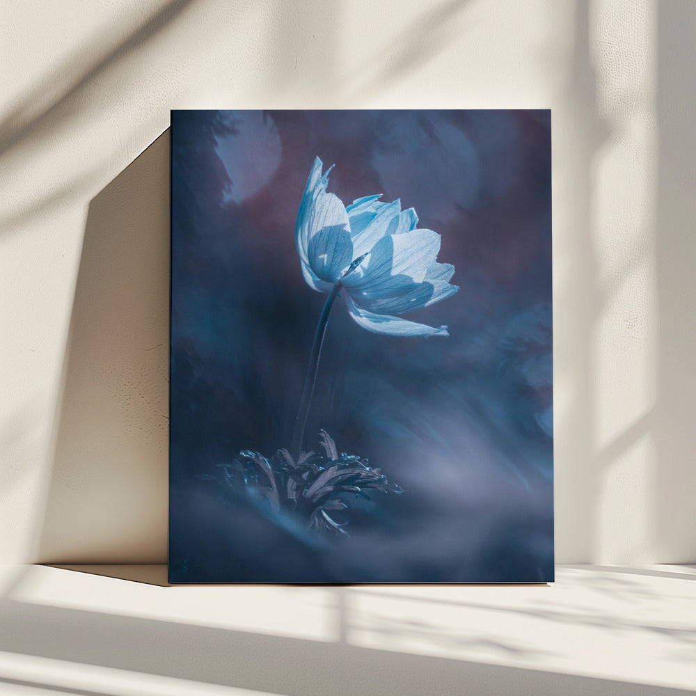 Droom verder | Canvas