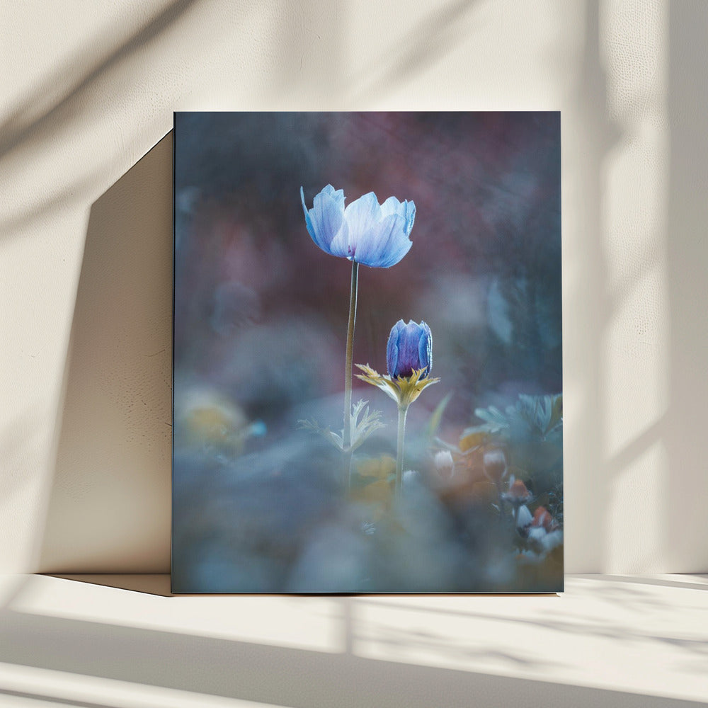 Opgroeien | Canvas