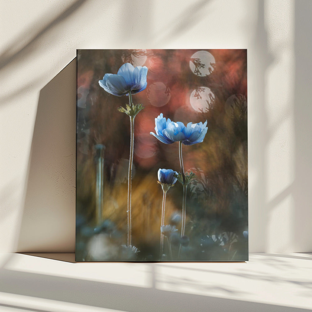 Een explosie van kleuren in een grijze en sombere wereld | Canvas