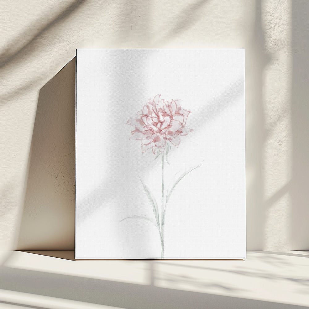 Pioenroos 02 | Canvas