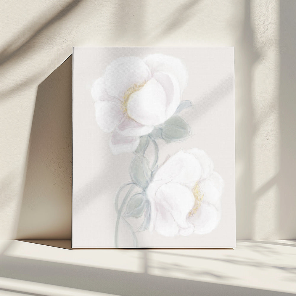 Weelderige pioenroos | Canvas