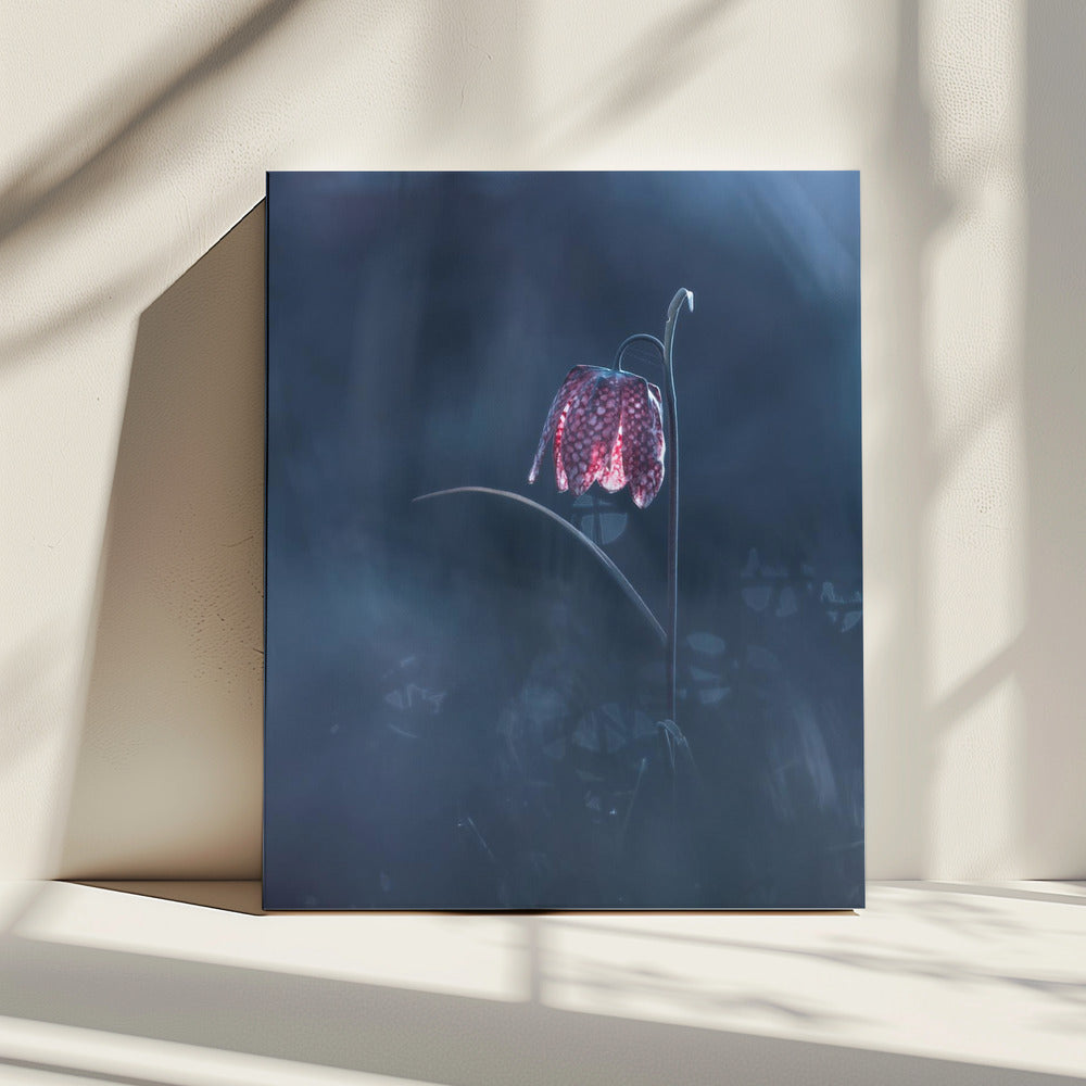 Vluchtige fantasie | Canvas