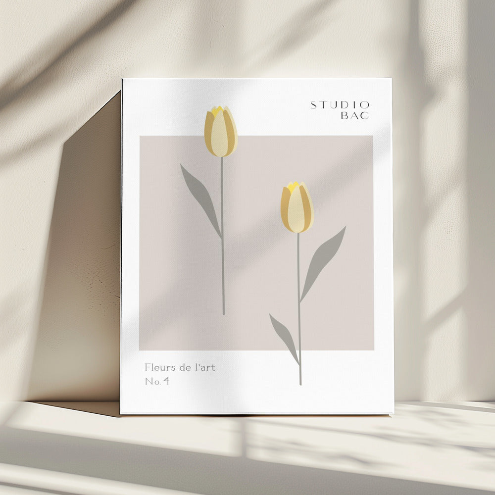 Tulpen Studio Bac | Canvas