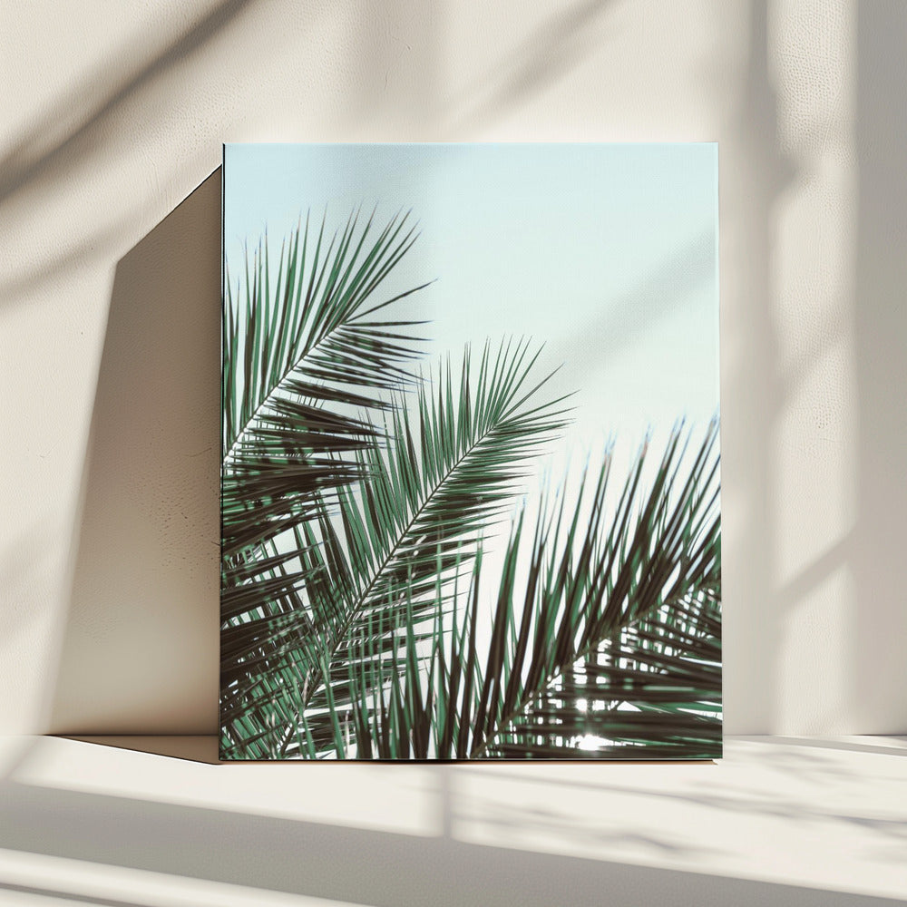 Palmbladeren, sky_1 | Canvas