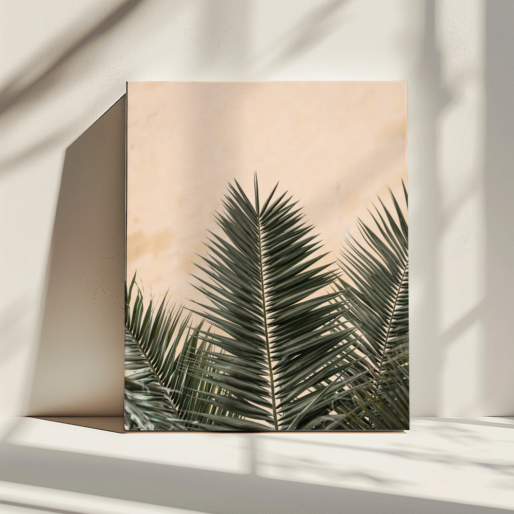 Palmbladeren en muur_1 | Canvas