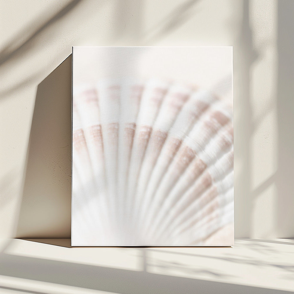 Schelp | Canvas