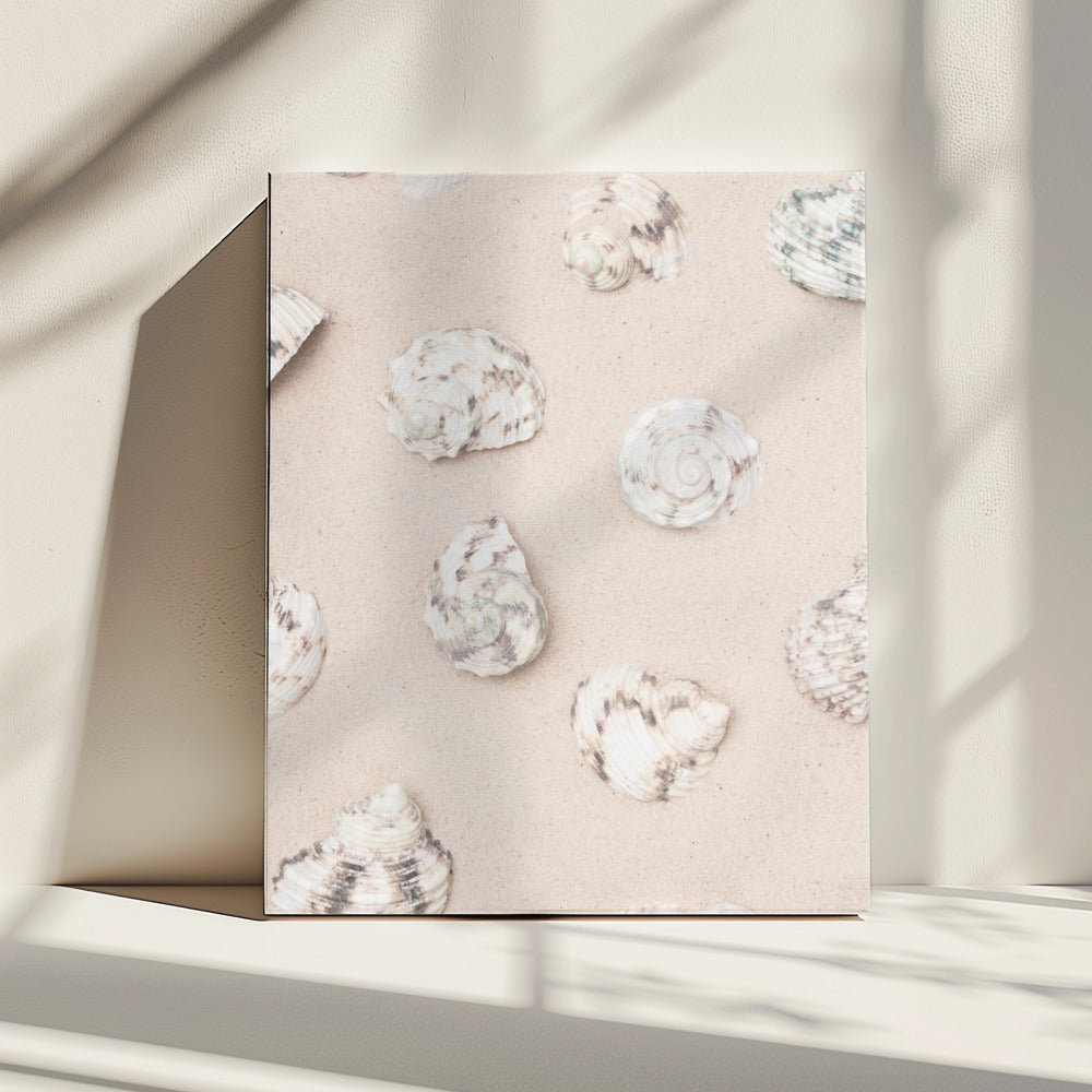 Schelpen_2 | Canvas