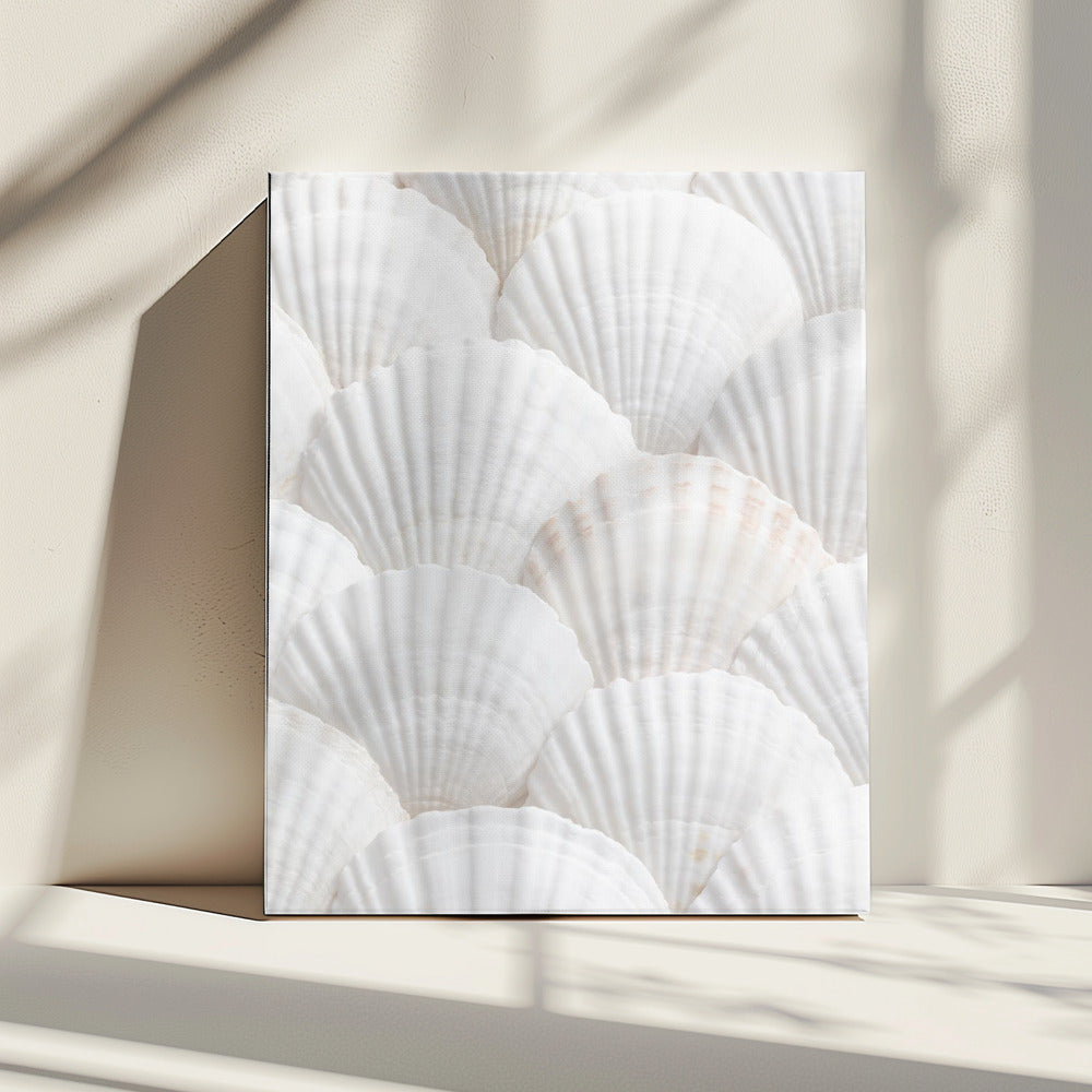 Schelpen_3 | Canvas