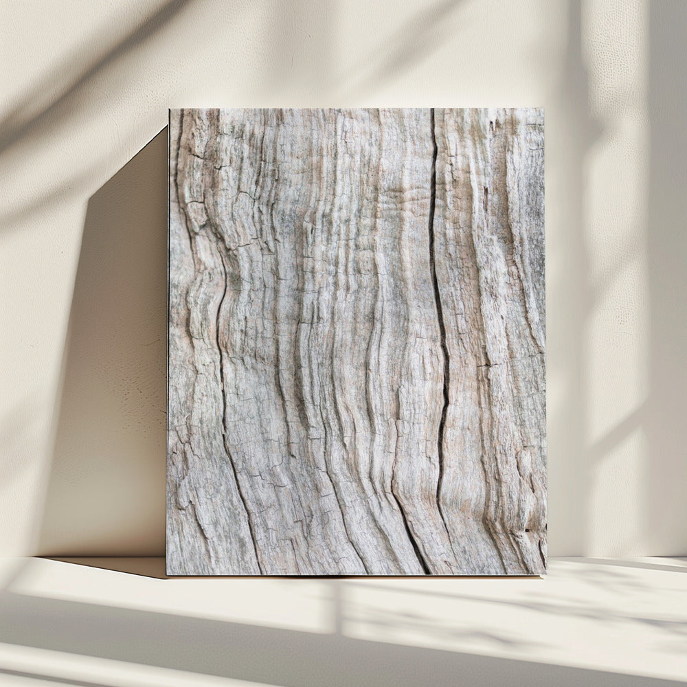 Houtpatroon | Canvas