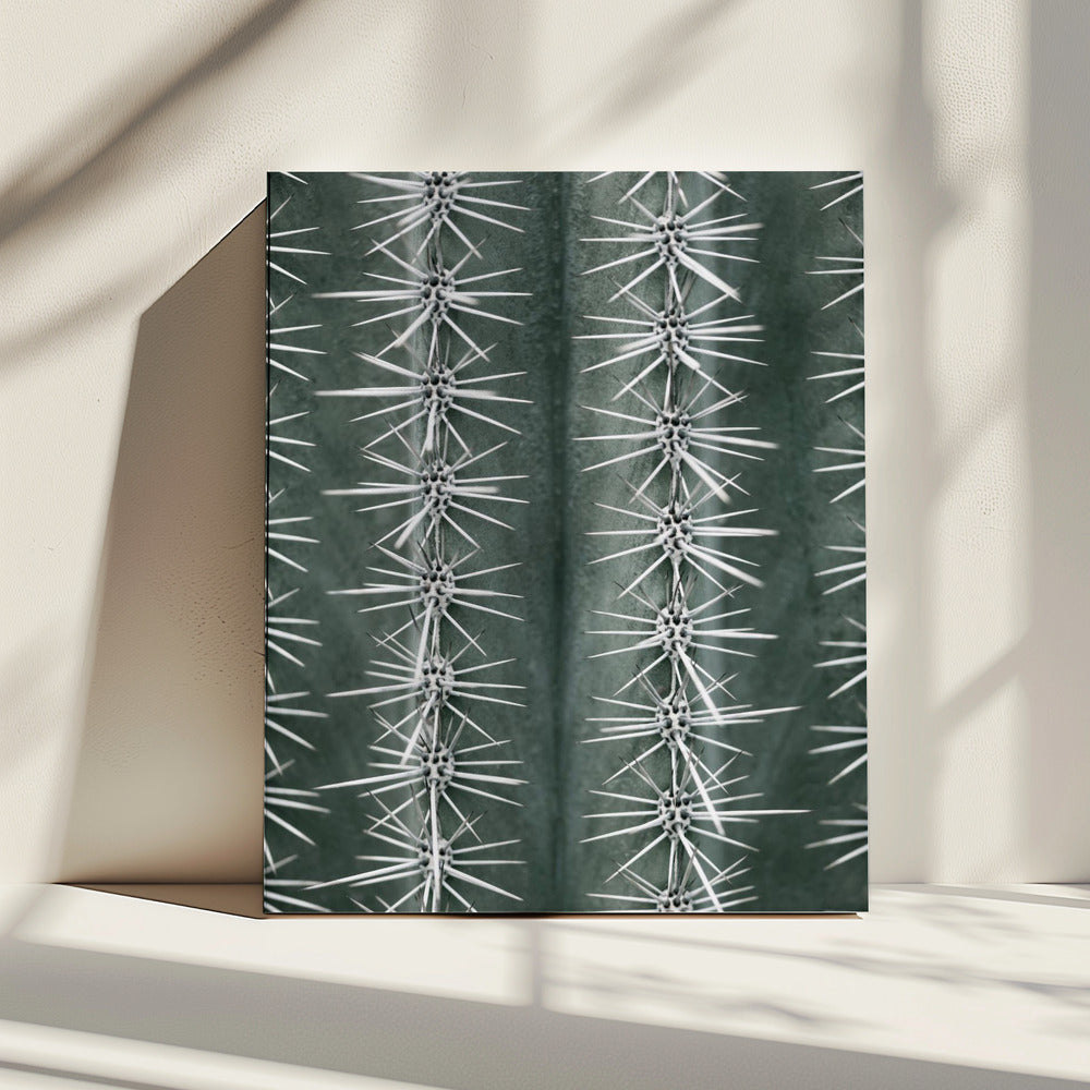 Cactusgroen | Canvas