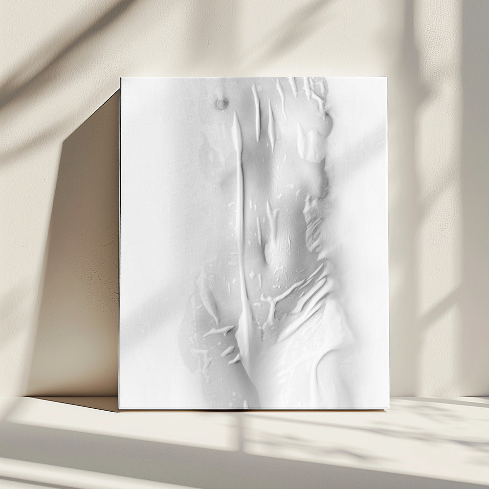 Zuiverheid | Canvas