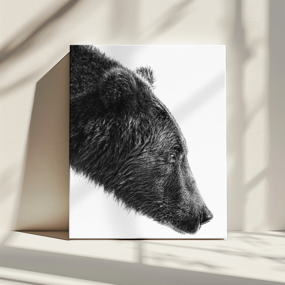The Salmon Catcher | Canvas
