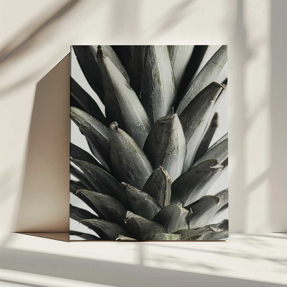 Ananas close-up | Canvas