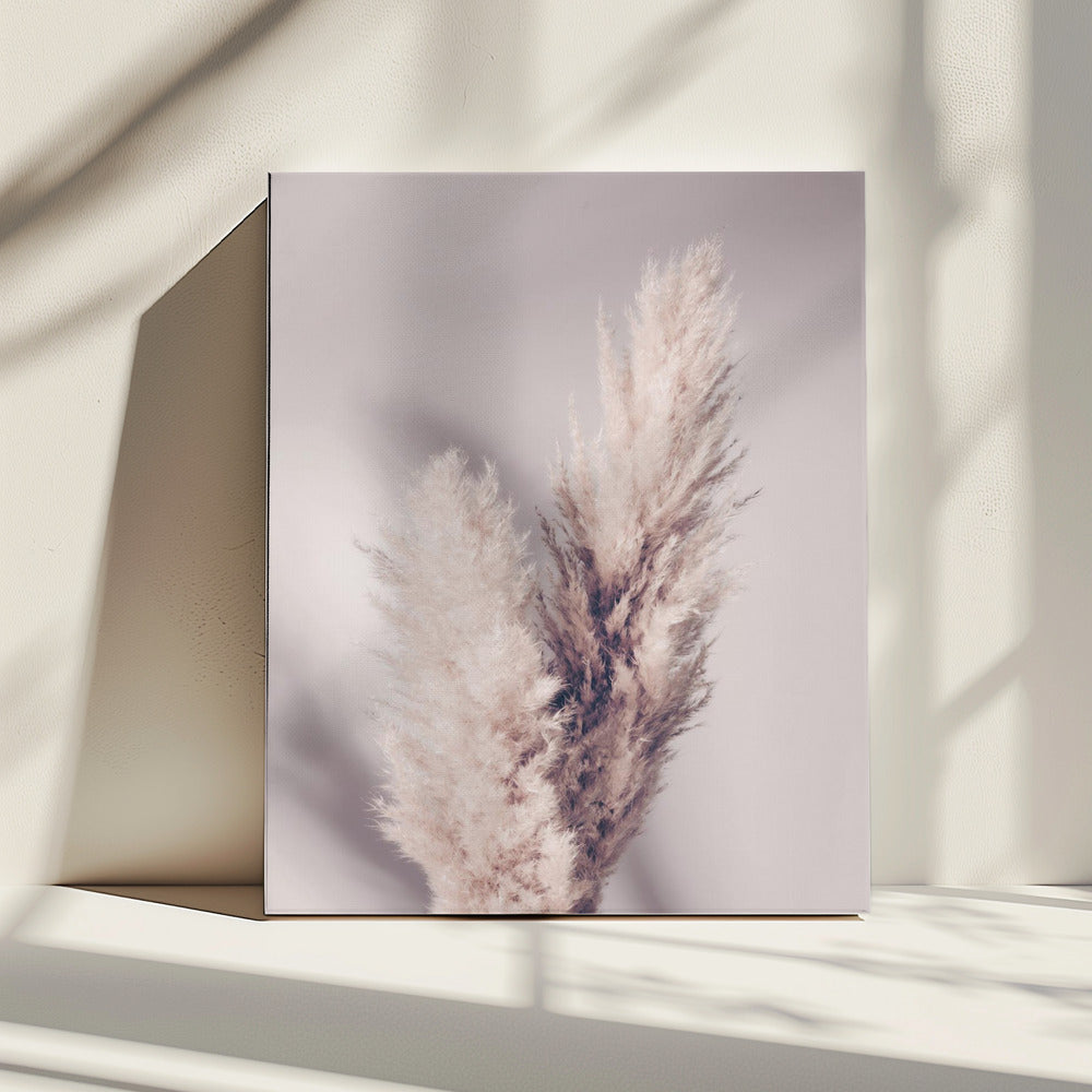 Pampasgras | Canvas