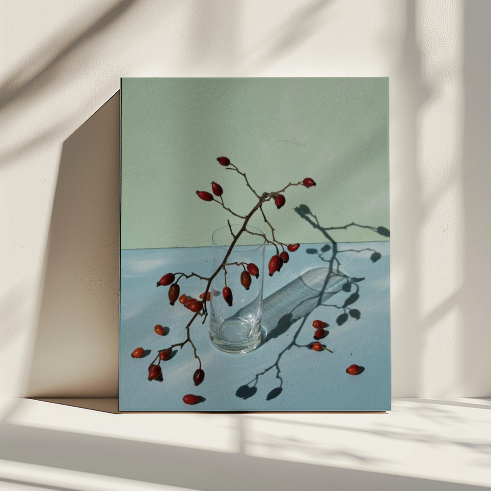 Licht & schaduw | Canvas