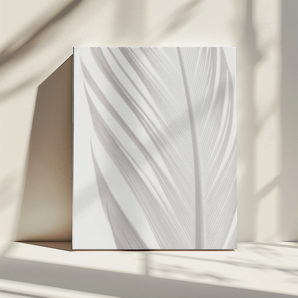 Veer_006 | Canvas