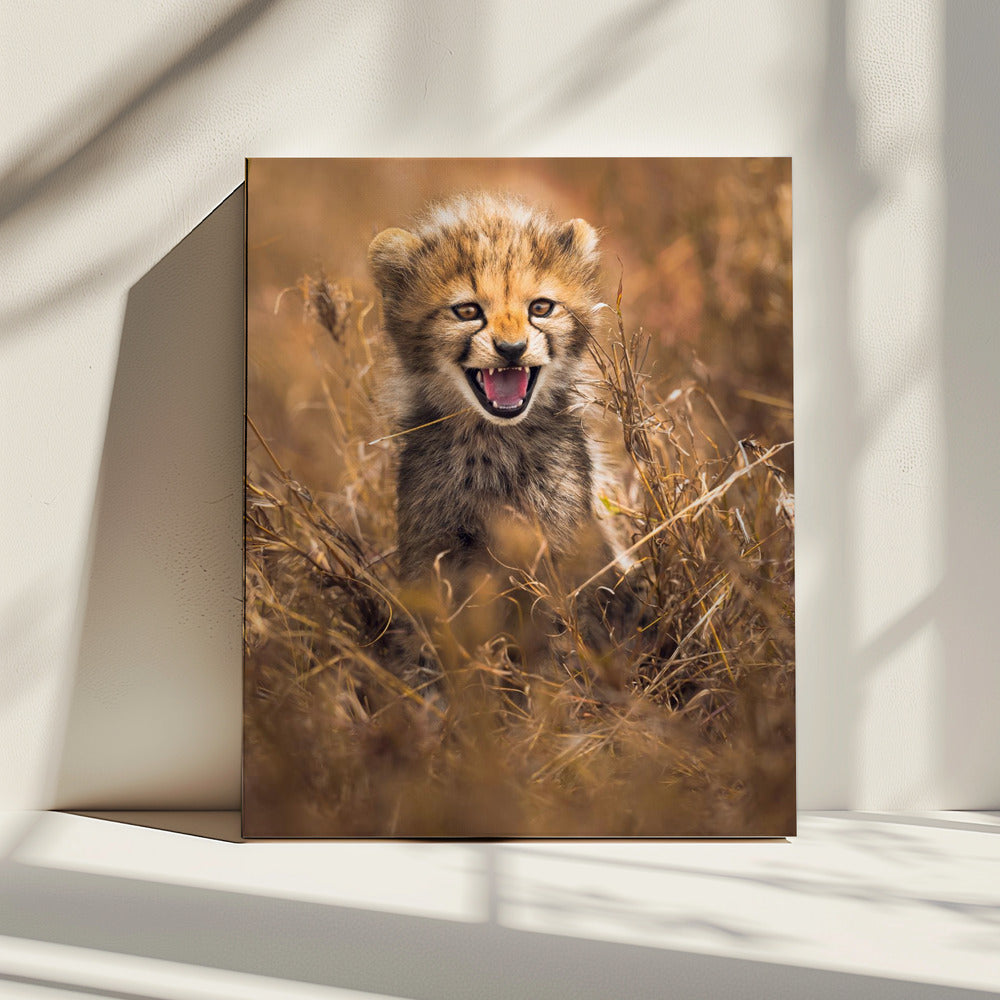 Big Smile | Canvas