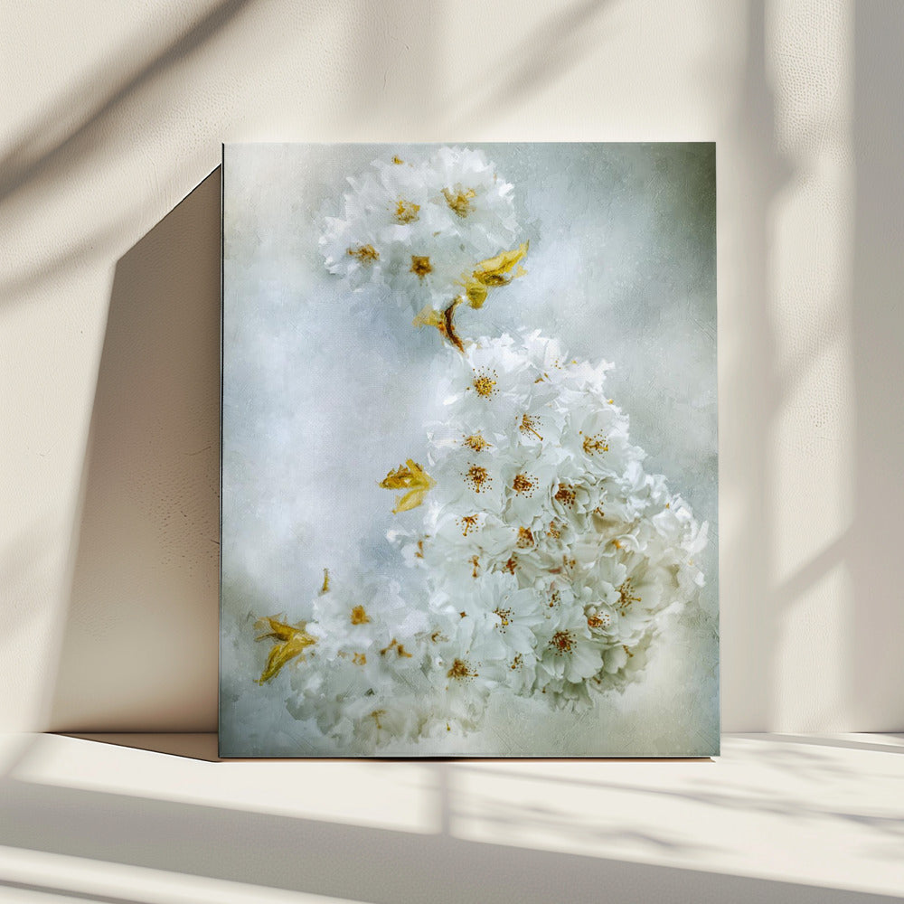Kersenbloesem | Canvas