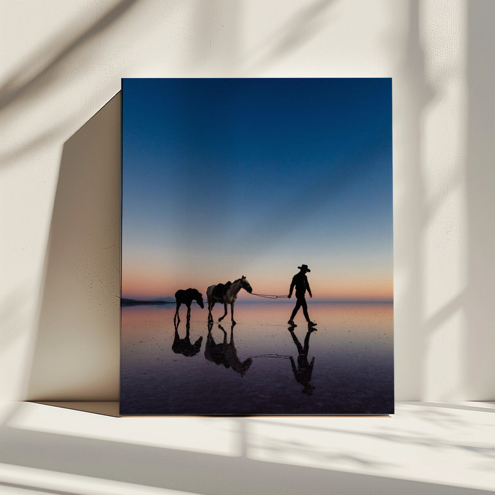 Untitled | Canvas