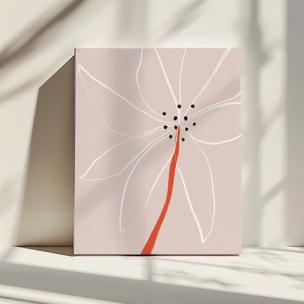 Delicate abstracte bloem met witte bloemblaadjes | Canvas