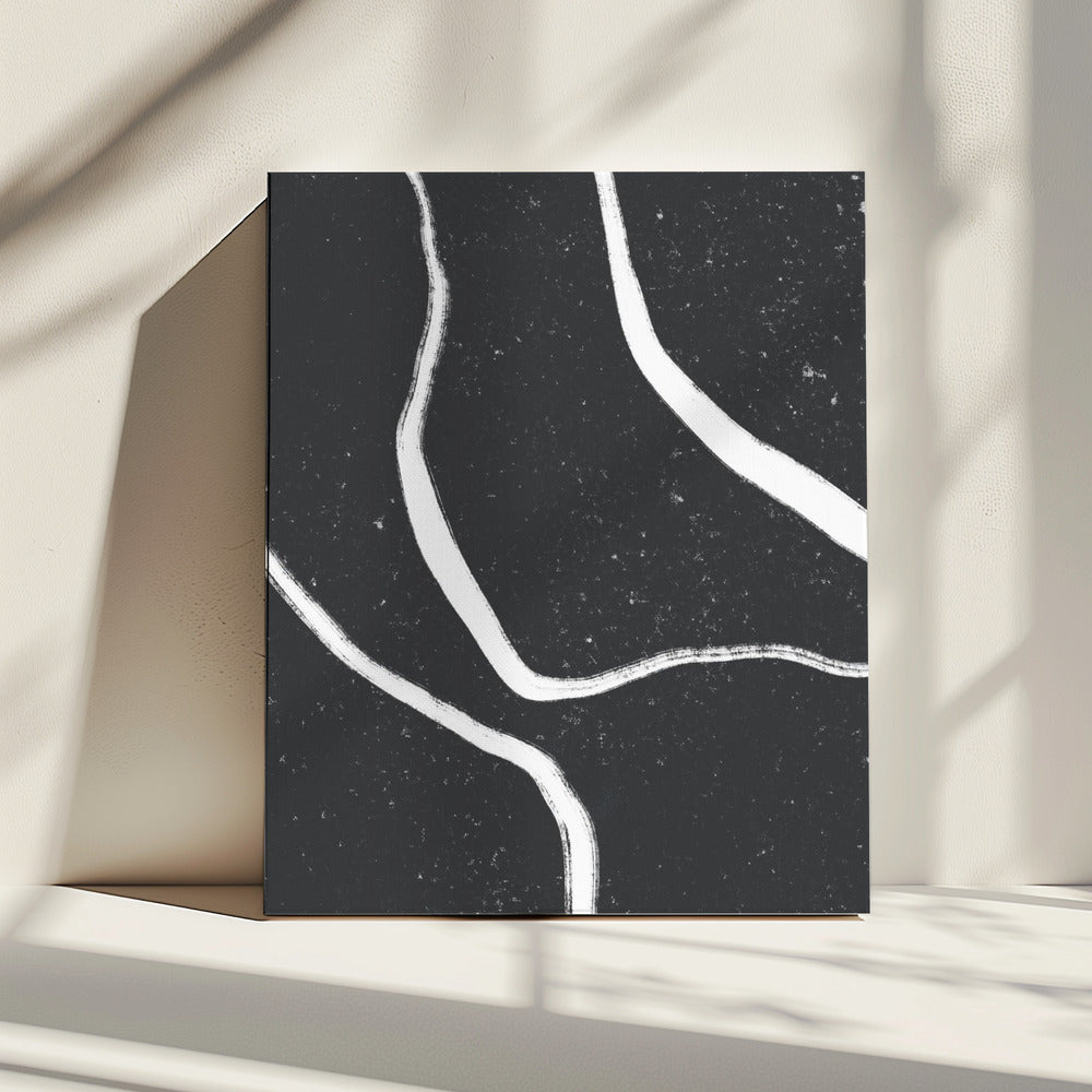 Monochrome paden | Canvas