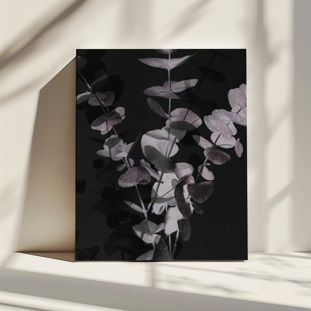 Eucalyptus_Negatief_001 | Canvas