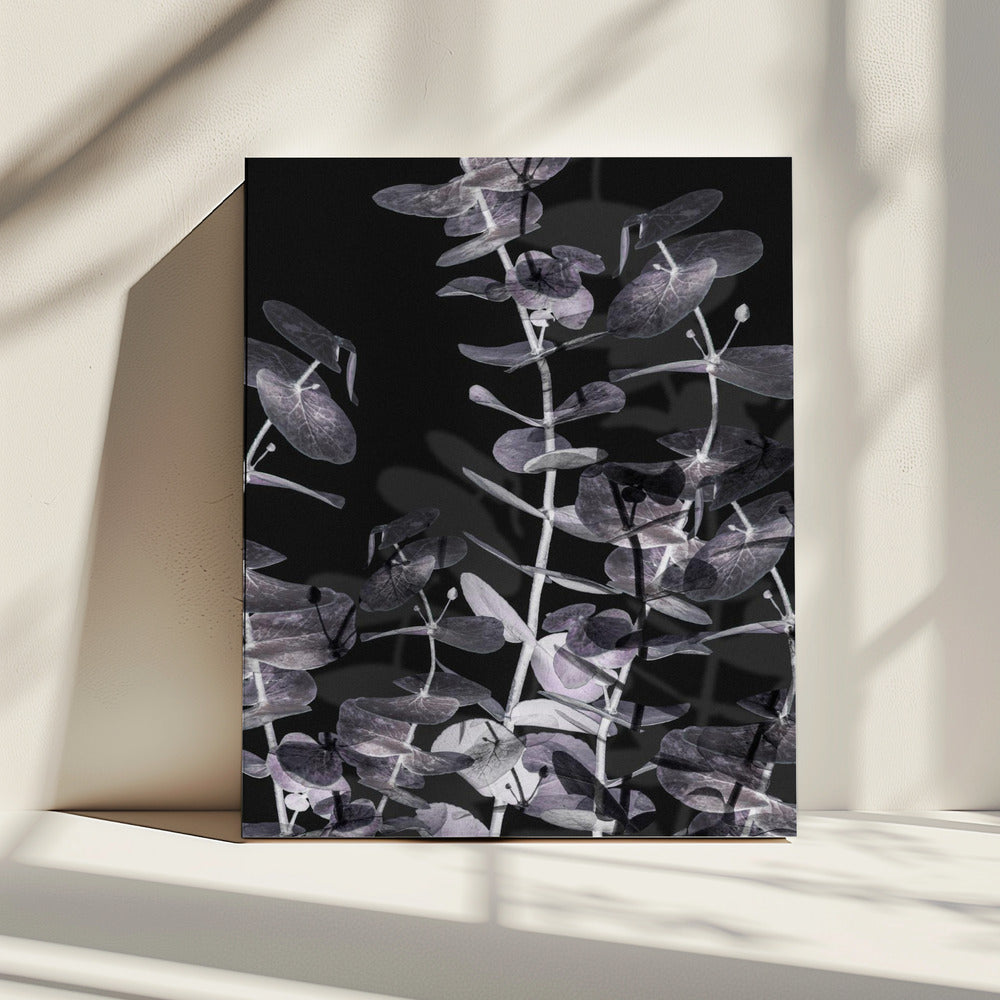 Eucalyptus_Negatief_002 | Canvas