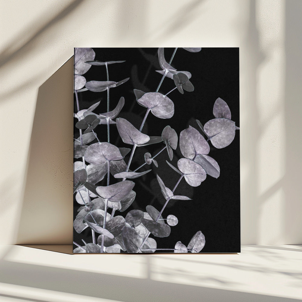 Eucalyptus_Negatief_003 | Canvas