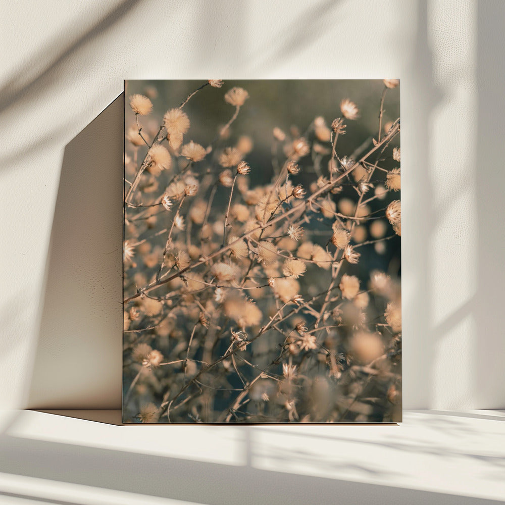 Strandbloemen_003 | Canvas
