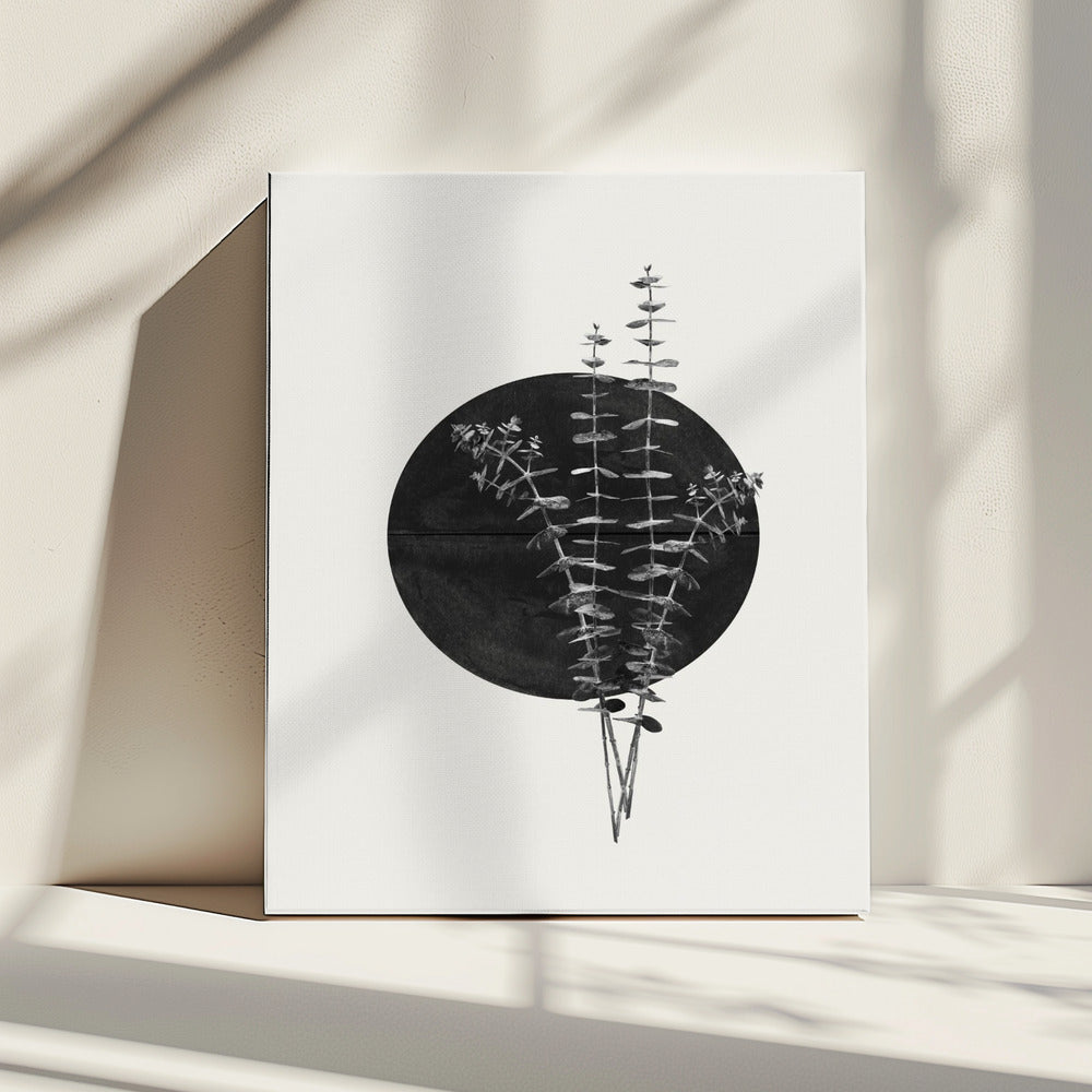 Eucalyptus Maan | Canvas