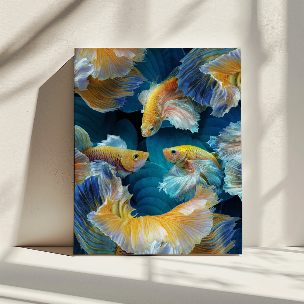 KleurVis | Canvas