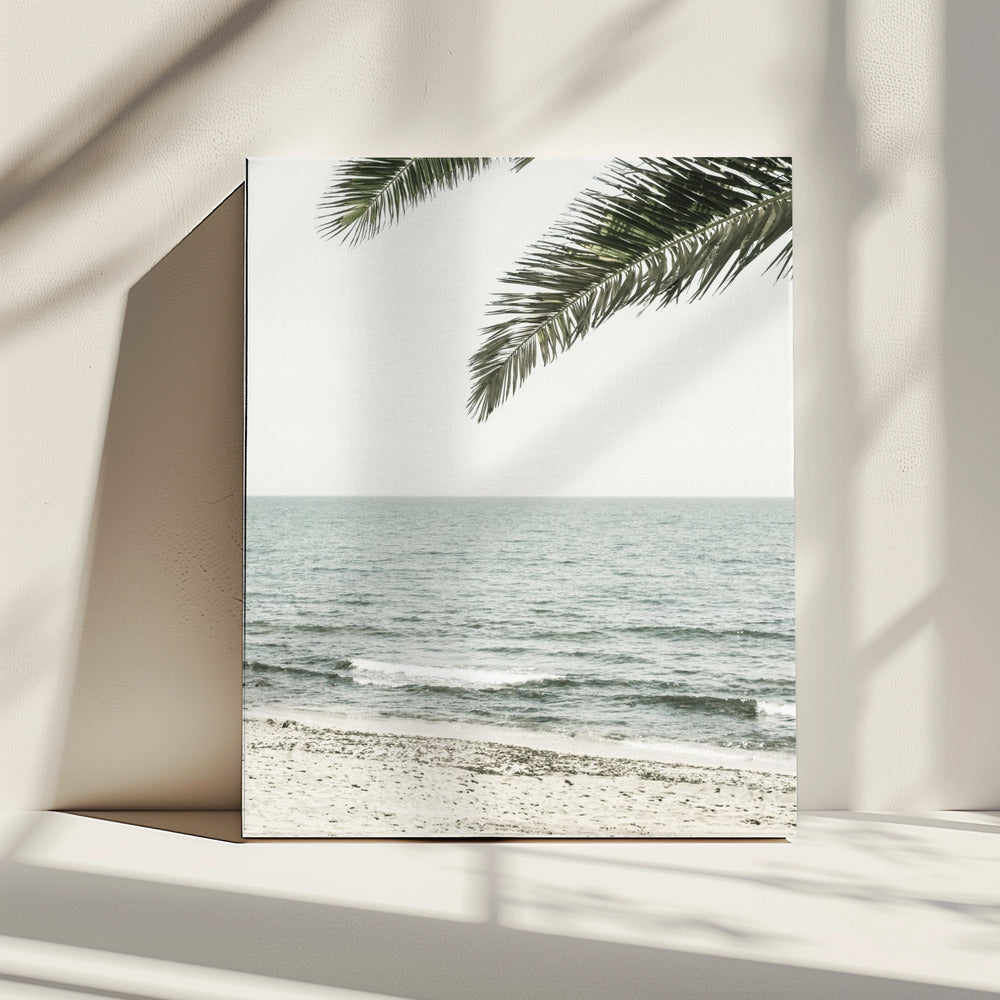 Solaris 03 | Canvas