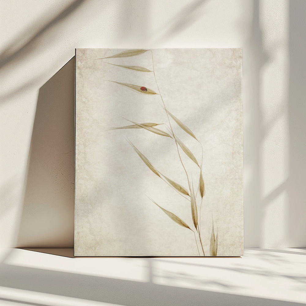 De huurder | Canvas