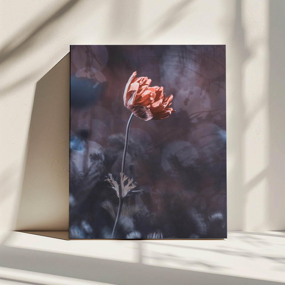 Elegantie | Canvas