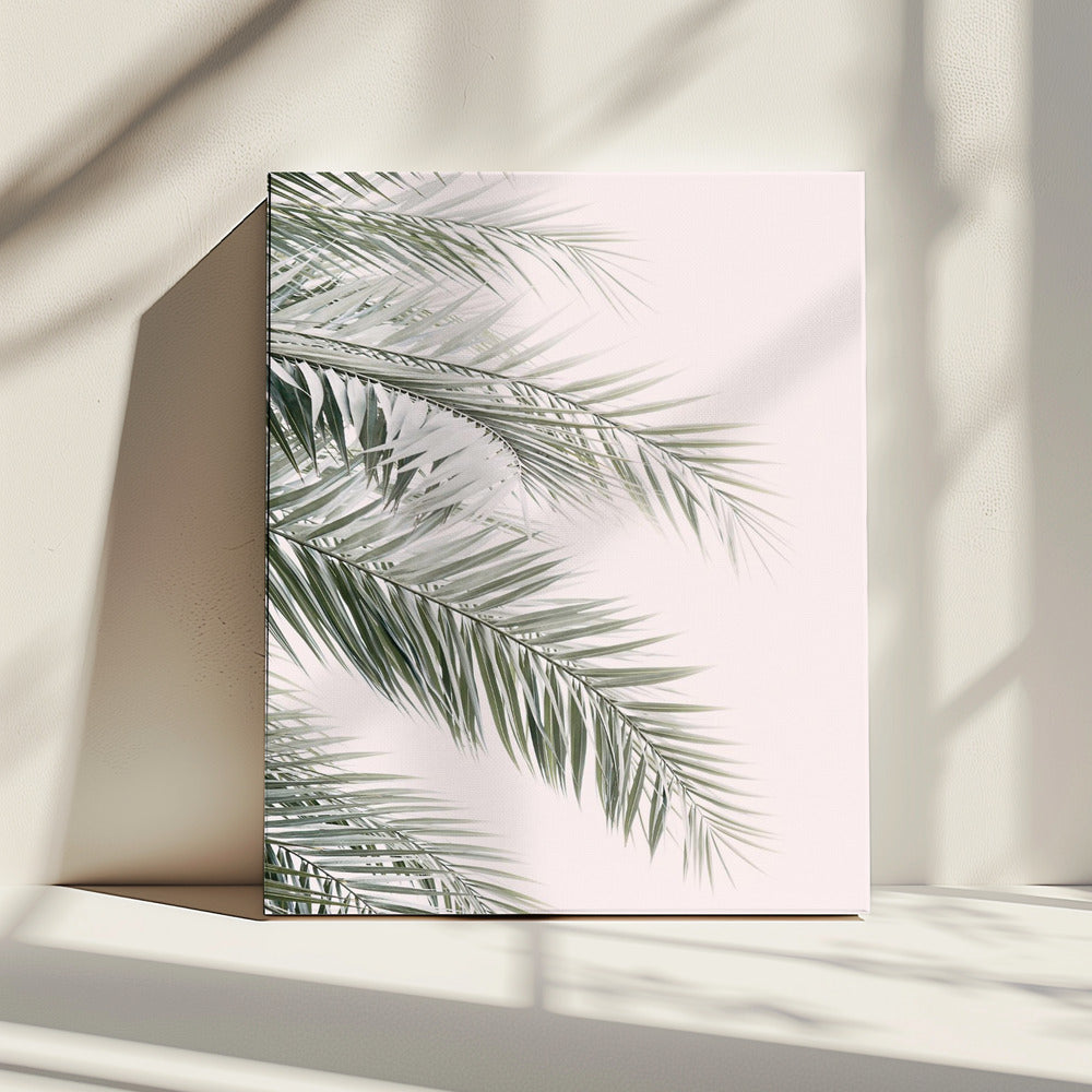Blush Palmbladeren | Canvas
