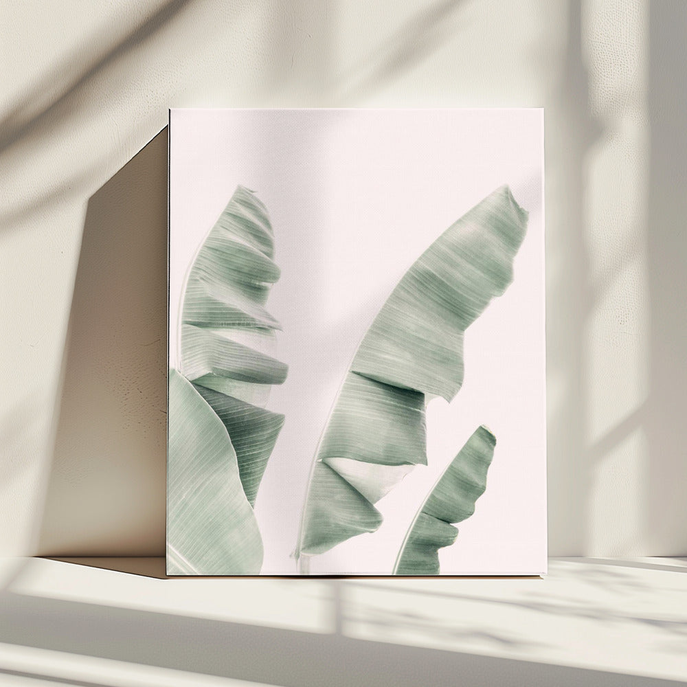 Blozende bananenbladeren | Canvas