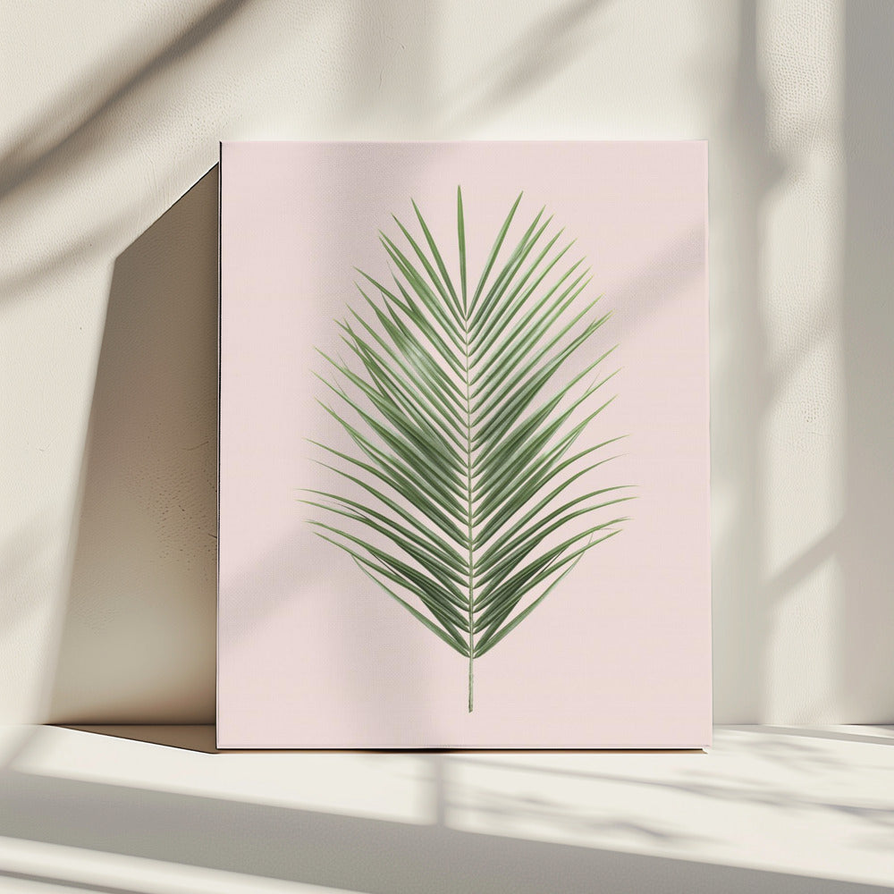 Palmblad Blush | Canvas