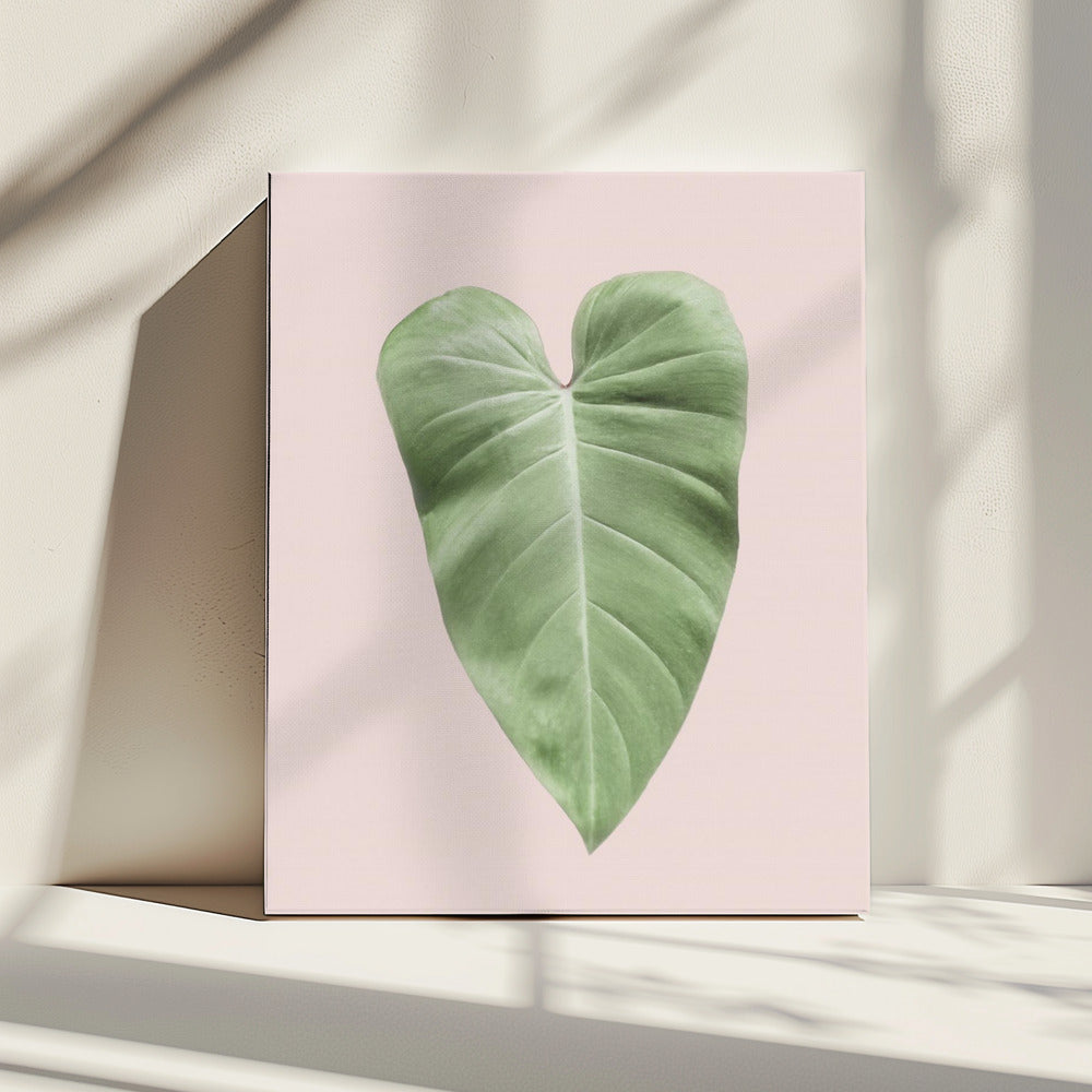 Tropisch blad blush | Canvas