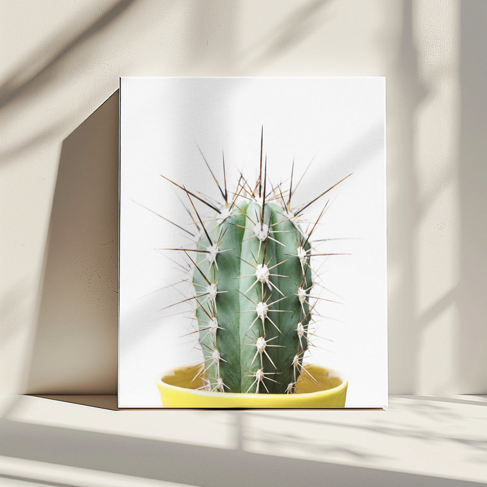 Stekelige Cactus | Canvas